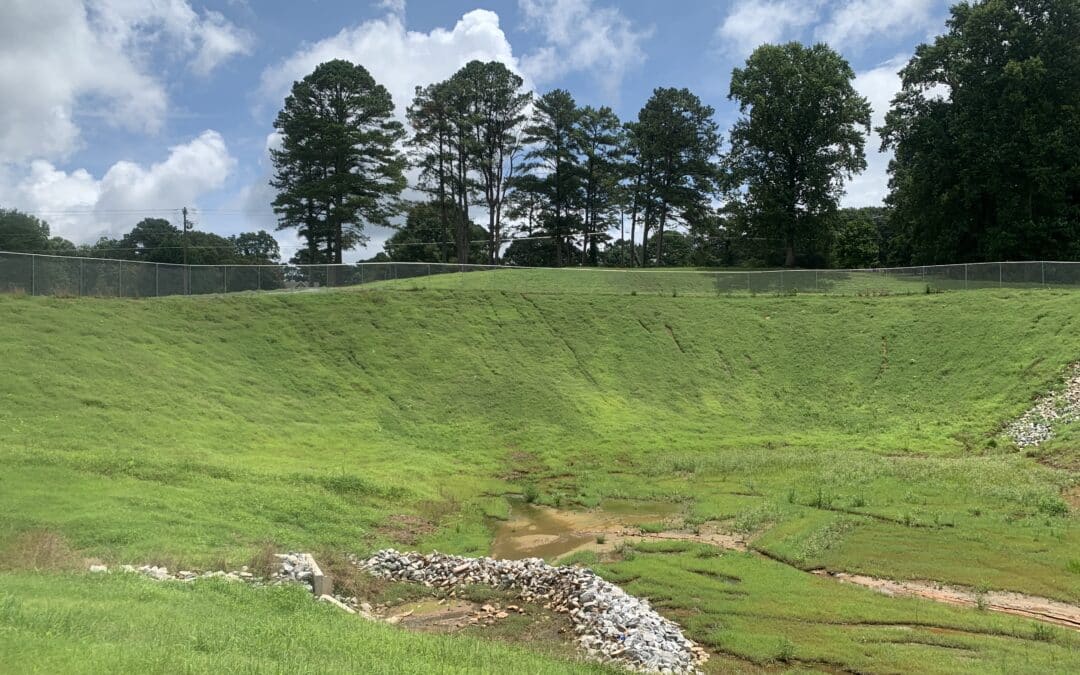 Stormwater Retention Hydroseeding