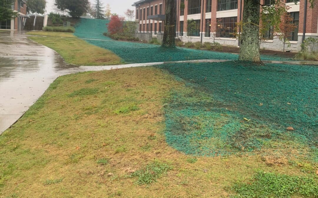 Commercial Hydroseeding