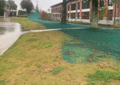 Commercial Hydroseeding